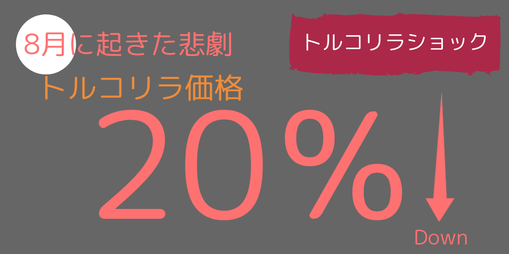 トルコリラショック